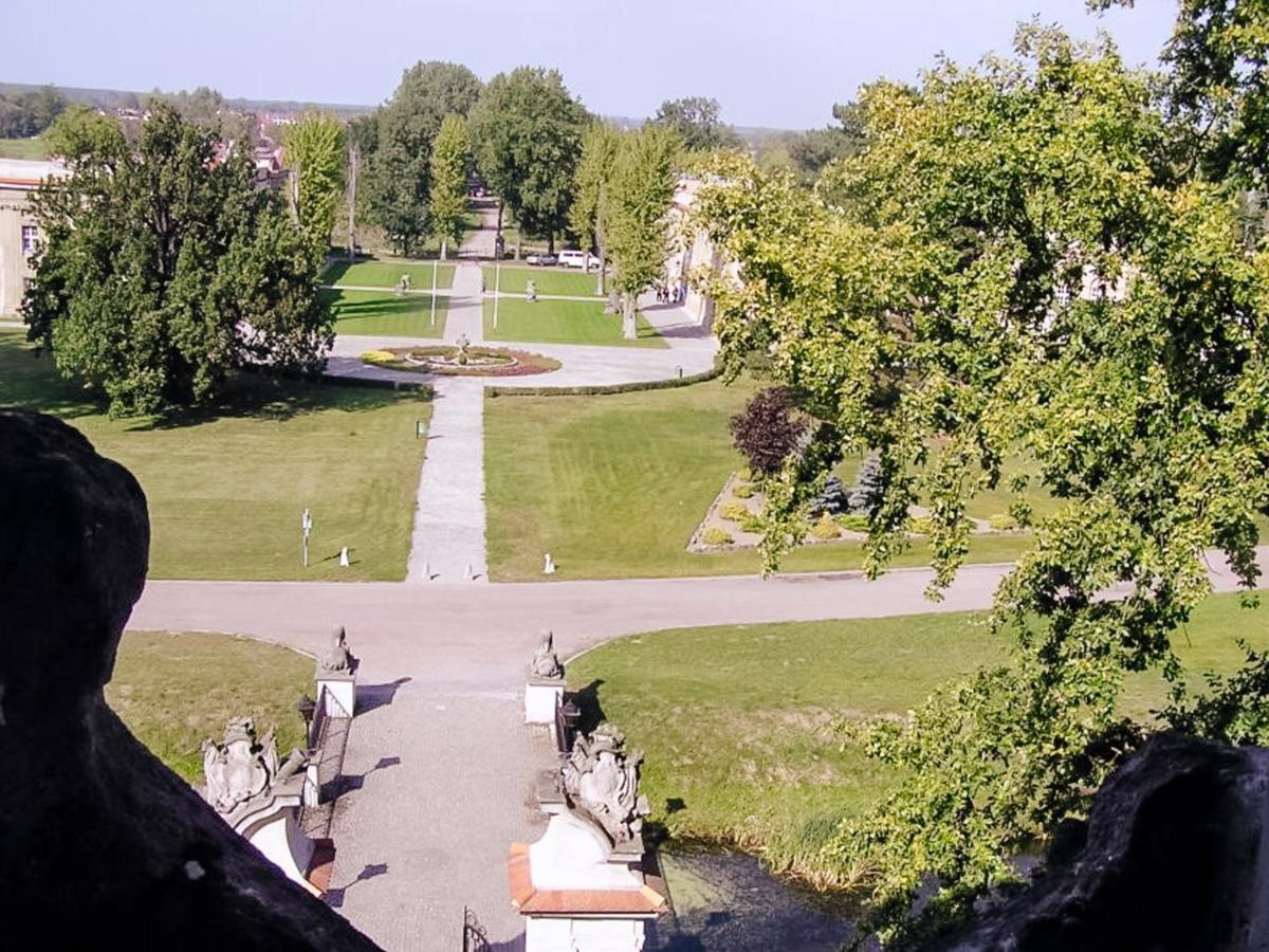 Hotel Zamek Krolewski W Rydzynie Rydzyna Extérieur photo